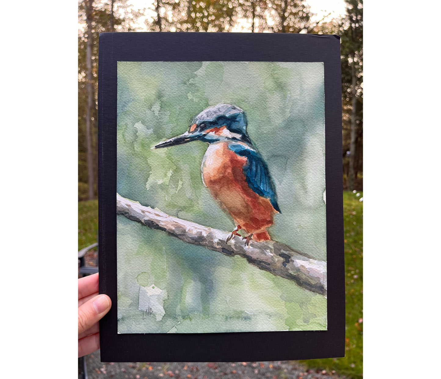 "Kingfisher" - Original Watercolor Painting