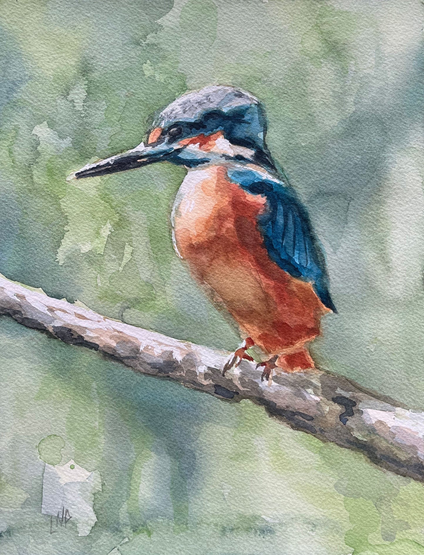 "Kingfisher" - Original Watercolor Painting