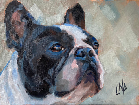 "Frenchie" - Original Oil Painting