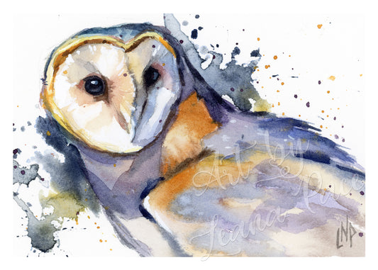 Barn Owl - original watercolor print